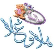 ألبوم صور ديمه 935711